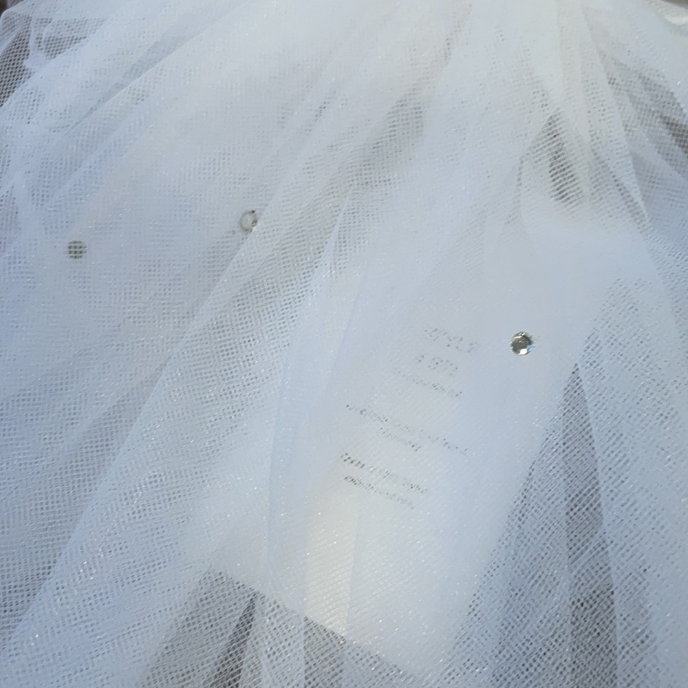 Veil - Picture 4 of 5